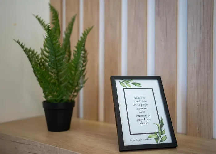 Stefan In Katalina Lux 즐라티보